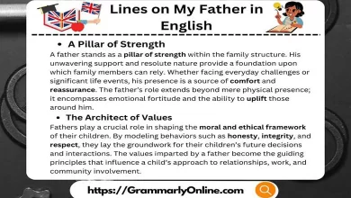 10 Lines on My Father in English