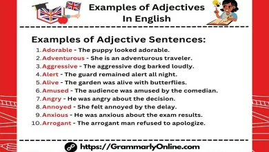 100 Examples of Adjectives In English