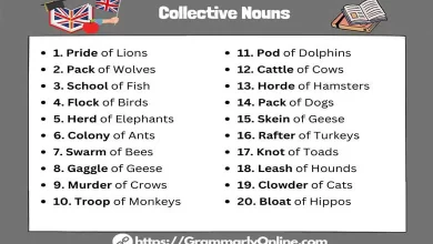 100 Examples of Collective Nouns