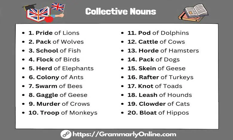 100 Examples of Collective Nouns