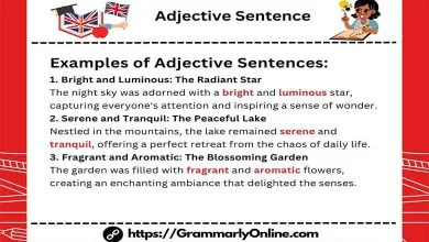 20 Adjective Sentence Examples