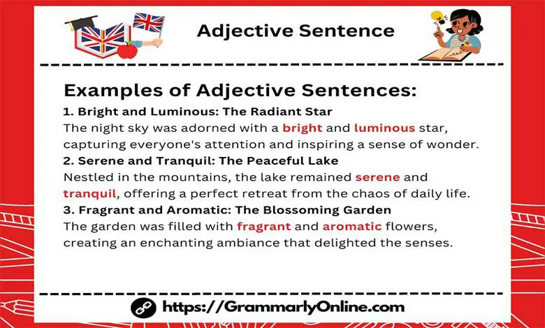 20 Adjective Sentence Examples