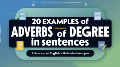 20 Examples of Adverbs of Degree In Sentences