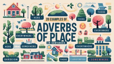 20 Examples of Adverbs of Place In Sentences