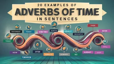 20 Examples of Adverbs of Time In Sentences