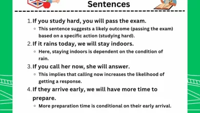 20 Examples of First Conditional Sentences