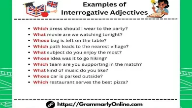 20 Examples of Interrogative Adjectives In Sentences