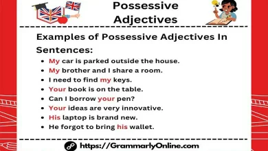 20+ Examples of Possessive Adjectives In Sentences