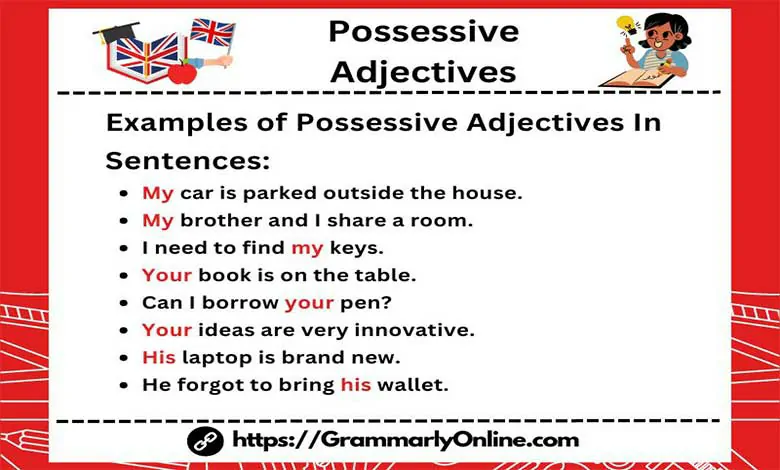 20+ Examples of Possessive Adjectives In Sentences