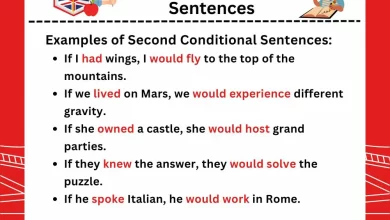 20 Examples of Second Conditional Sentences