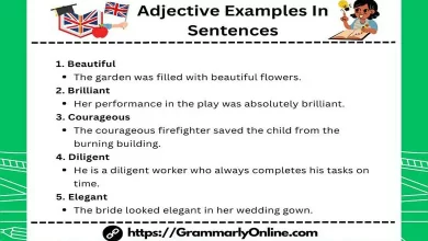 50 Adjective Examples In Sentences