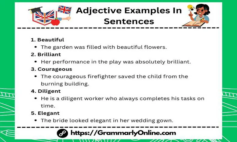 50 Adjective Examples In Sentences