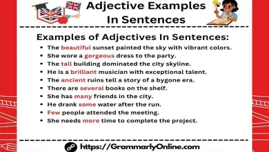 Adjective Examples In Sentences