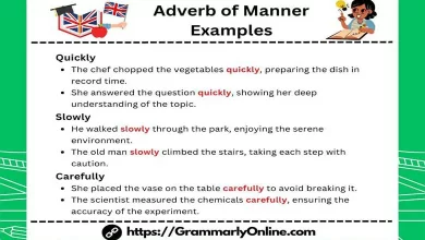 Adverb of Manner Examples in Sentences