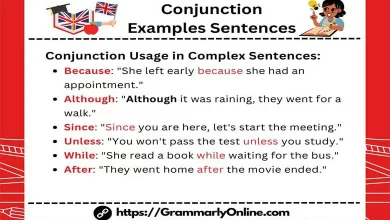 Conjunction Examples Sentences