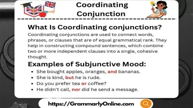 Coordinating Conjunction Examples