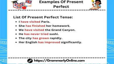 Examples Of Present Perfect Tense