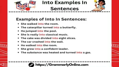 into In A Sentence