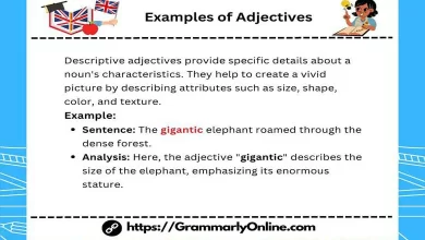 10 Examples of Adjectives In Sentences