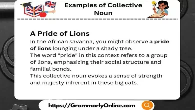 10 Examples of Collective Noun In A Sentence