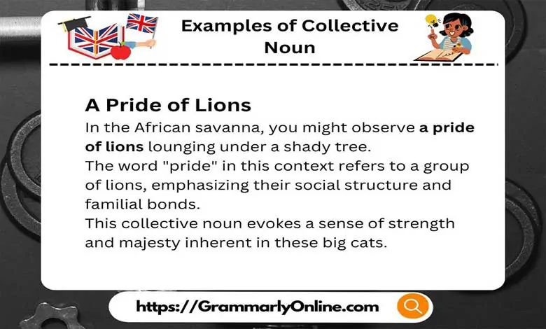 10 Examples of Collective Noun In A Sentence