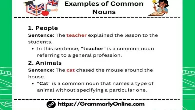 10 Examples of Common Nouns in A Sentence