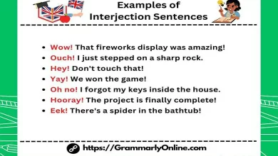 10 Examples of Interjection Sentences