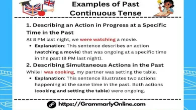 10 Examples of Past Continuous Tense Sentences