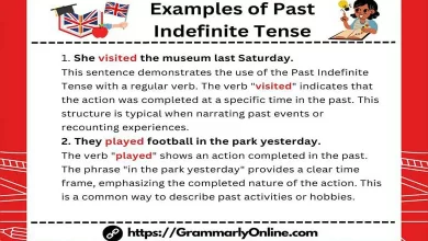 10 Examples of Past Indefinite Tense Sentences