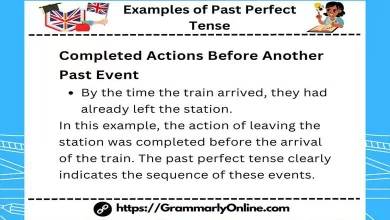 10 Examples of Past Perfect Tense Sentences