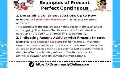 10 Examples of Present Perfect Continuous Tense