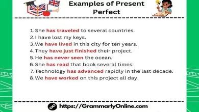 10 Examples of Present Perfect Tense Sentences