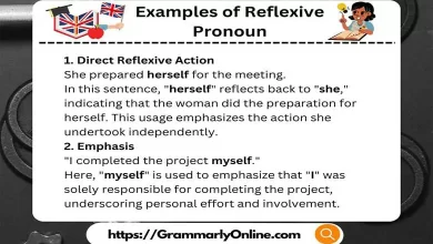 10 Examples of Reflexive Pronoun In A Sentences