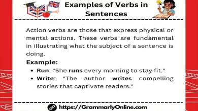 10 Examples of Verbs in Sentences