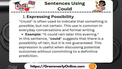 10 Sentences Using Could & Could Sentence Examples