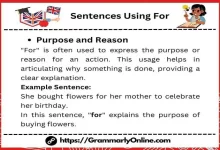 10 Sentences Using For & For Sentence Examples