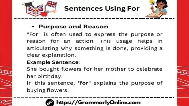 10 Sentences Using For & For Sentence Examples