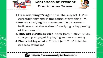 10 Sentences of Present Continuous Tense