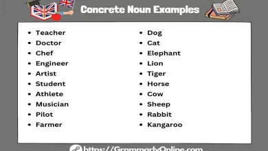 100+ Concrete Noun Examples List