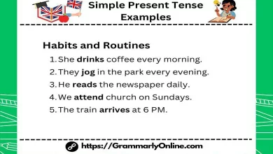 100 Simple Present Tense Examples