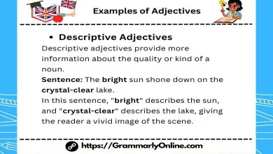 12 Examples of Adjectives In Sentences