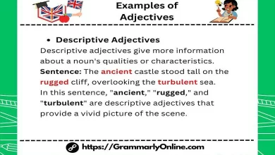 15 Examples of Adjectives In Sentences