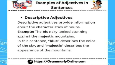 18 Examples of Adjectives In Sentences