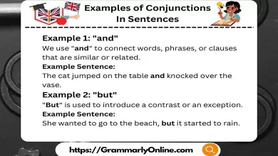 18 Examples of Conjunctions In Sentences