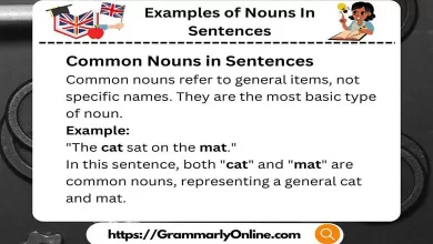 18 Examples of Nouns In Sentences