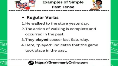 18 Examples of Simple Past Tense In Sentences