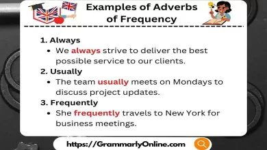 20 Examples of Adverbs of Frequency In Sentences