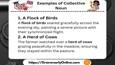 20 Examples of Collective Noun In Sentences