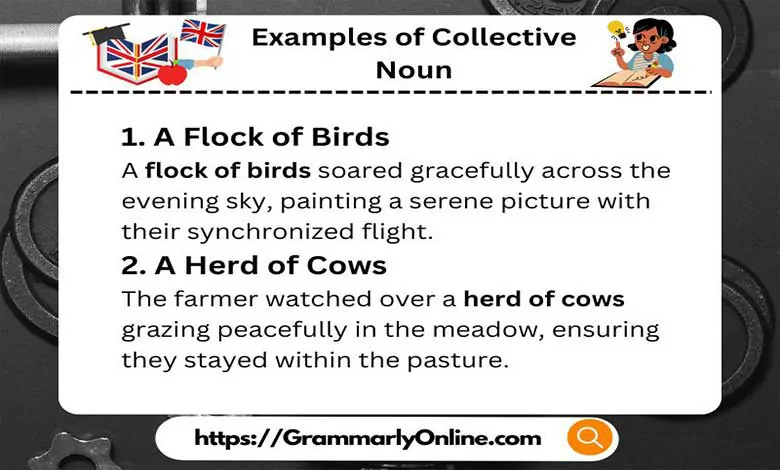 20 Examples of Collective Noun In Sentences