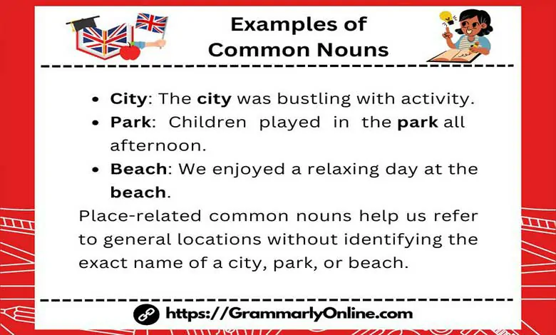 20 Examples of Common Nouns In Sentences